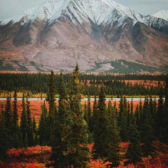 Mens - Picture 7 of 7